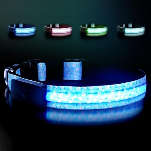 LED Dog Collar Rechargeable, Brightest Light Up Dog Collars, Daisy XL