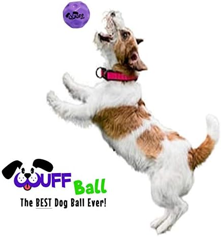 The Best Dog Ball Ever! Fun Durable Ultra Bouncy Purple Fetch Dog Toy, Fits Ball Launcher