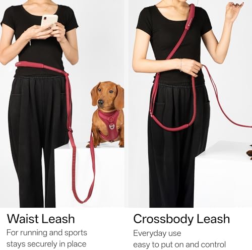 Hands Free Dog Leash Adjustable Versatile Crossbody Waist Dog Leash Reflective Comfortable Padded Handles Shock Absorbing Walking Lead for Small Medium Large Dogs (Super Reflect-Black, M)
