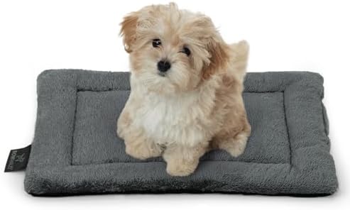BOWHAUS 20.8" x 15” Machine-Washable Fluffy Dog Bed for 24" Kennel, Soft Crate Mat with Non-Slip Bottom, Cozy Pet Pad for Sleeping, Small Dog Kennel Flat Bed