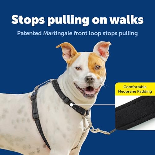 PetSafe 3 in 1 No-Pull Dog Harness - Walk, Train or Travel - Helps Prevent Pets from Pulling on Walks - Seatbelt Loop Doubles as Quick Access Handle - Reflective Accents - Medium, Black