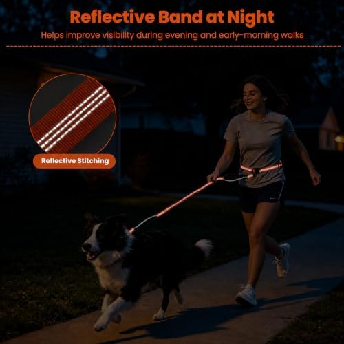 Hands Free Dog Leash, Adjustable Waist Belt 27-51", 2 Reflective Padded Handles, Comfortable Shock Absorbing Bungee, for Small Medium Large Dogs, Walking Jogging Running