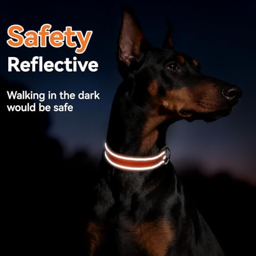 Reflective Dog Collar for Small Dogs with Quick Release Buckle
