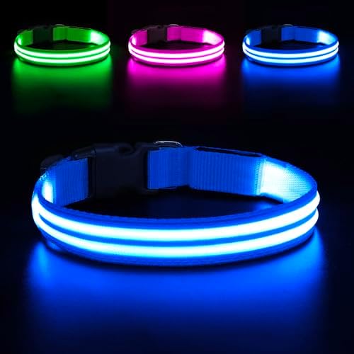 BSEEN Light Up Dog Collar - Glow in the Dark LED Dog Collar Rechargeable, Double Line Fiber Optic Lighted Puppy Collar, Safety Dog Lights for Night Walking (Blue, Medium)