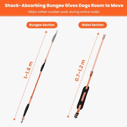 Hands Free Dog Leash, Adjustable Waist Belt 27-51", 2 Reflective Padded Handles, Comfortable Shock Absorbing Bungee, for Small Medium Large Dogs, Walking Jogging Running