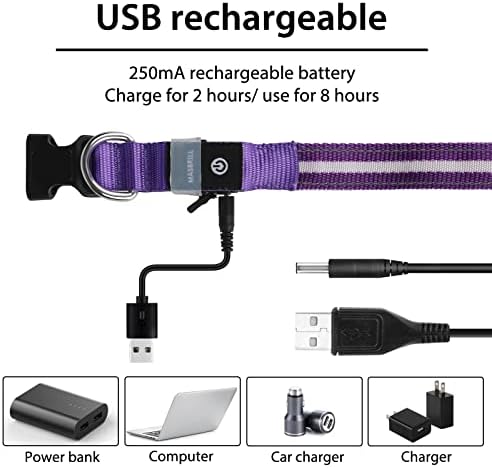 MASBRILL Led Dog Collar - Rechargeable, Water-Resistant, Flashing Glowing Collar for Night Walking - S(15.75 * 0.98in)