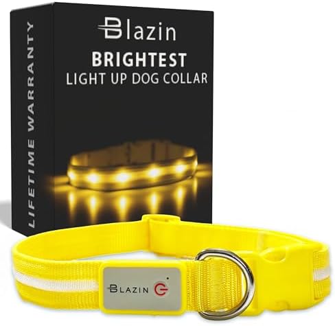 Blazin Light Up Dog Collar - The Original LED Dog Collar - USB Rechargeable - Waterproof - 1,000 Feet of Visibility - Dog Collar Light for Small, Medium, Large Dogs - USA Brand