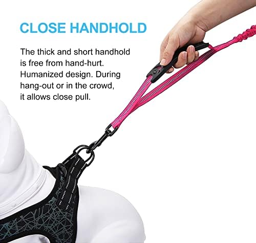 6FT Highly Reflective Heavy Duty Elastic Bungee Medium and Large Dog Leash Shock Absorbing with Comfortable Padded Handle and Traffic Handle Suitable for Training Hot Pink