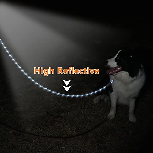 NTR Heavy Duty Dog Leash,15FT Long Rope Lead for Training with Swivel Lockable Hook,Reflective Threads and Comfortable Handle, Dog Lead for Walking,Hunting,Camping for Medium and Large Dogs