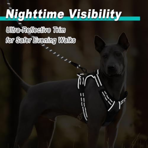 BARKBAY Dog Harness for Large Dog No Pull 2 Leash Clips Dog Vest
