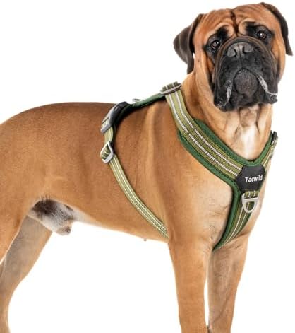 No Pull Dog Harness - Adjustable Reflective Dog Vest with Metal Snap, Soft Breathable Mesh No Choke Puppy Harness, Easy to Put on & Take Off (Green-XL)