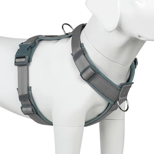 Plutus Pet No Pull Dog Harness, Adjustable Nylon Harness with Soft Padding