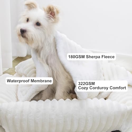 Waterproof Dog Blanket Soft Pet Cat Blanket 40x50 in Cream