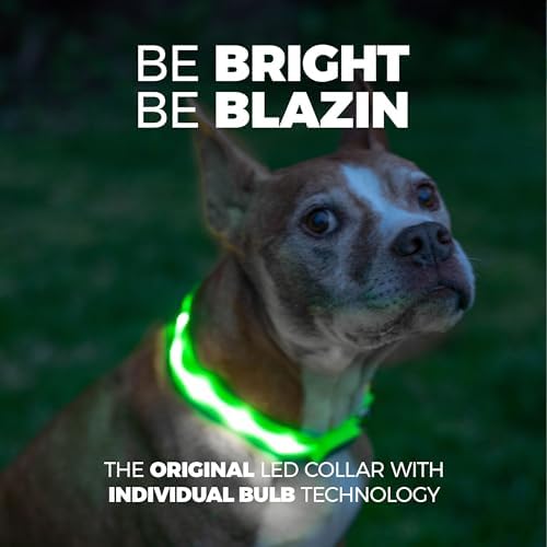 Blazin Light Up Dog Collar - The Original LED Dog Collar - USB Rechargeable - Waterproof - 1,000 Feet of Visibility - Dog Collar Light for Small, Medium, Large Dogs - USA Brand