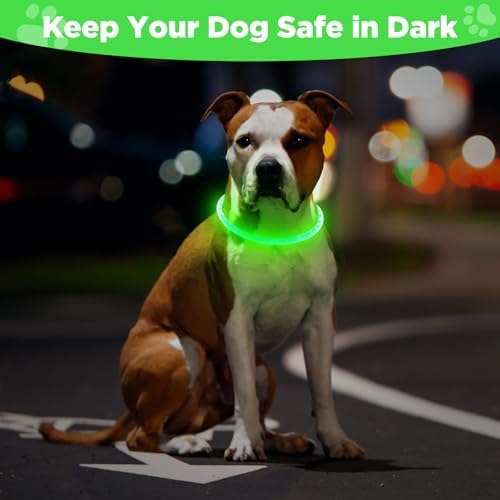 2 Pack Light Up Dog Collar, USB Rechargeable Dog Collar Light for Night Walking, Led Lighted Collar, Glow in the Dark Collar for Small Medium Large Dogs (Red+Green)