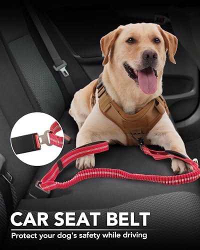 Joytale Tactical Bungee Dog Leash, Shock Absorbing No Pull, Red