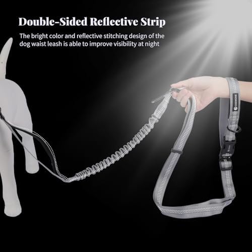 Heavy Duty Multifunctional Hands Free Dog Leash - Adjustable, Reflective Stitches, Car Safety Buckle, Waist Leash for Dog Walking, Running, Hiking - 5-7FT