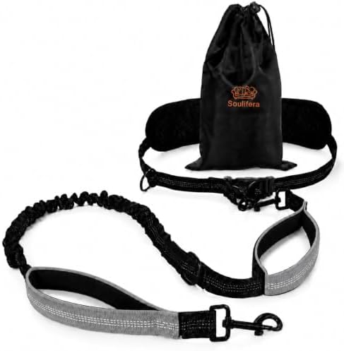 Hands Free Dog Leash, Adjustable Waist Belt 27-51", 2 Reflective Padded Handles, Comfortable Shock Absorbing Bungee, for Small Medium Large Dogs, Walking Jogging Running