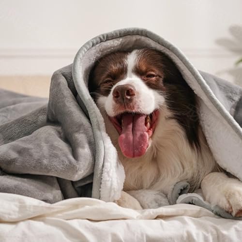 gogobunny Waterproof Blanket for Twin Bed, Warm Sherpa Fleece Throw, 60x80