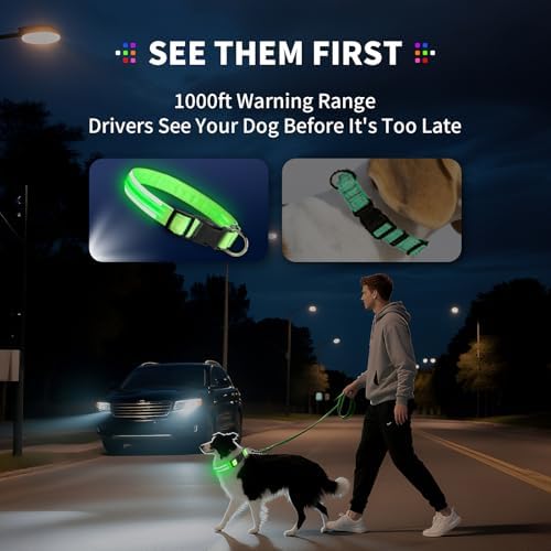 Light Up Dog Collar for Night Walking, Reflective LED Collar(Orange, Large)