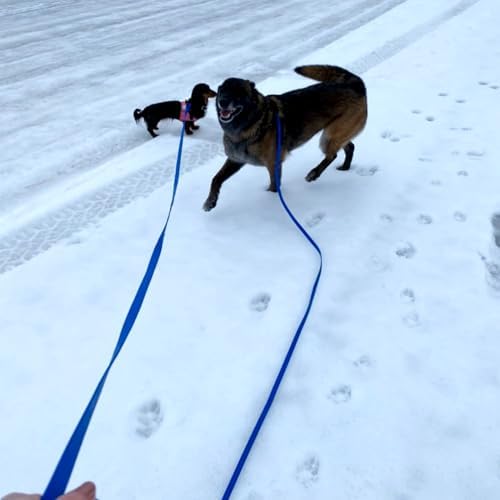 ZALER Long Dog Leash Waterproof Training Leashes 50ft 30ft 20ft 15ft 10ft 6ft, Odor Proof Recall Long Line Lead with Aviation Aluminum Carabiner Clip for Small, Medium, Large Dogs (50FT, Blue)