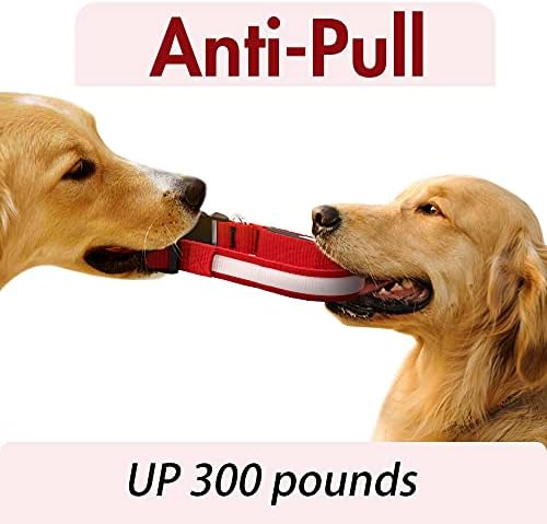 LED Dog Collar, Dog Light Up Collar,for Night Walking (Red, Small)