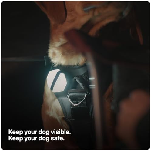 Säker Dog Collar Light - Waterproof Dog Light for Night Walking with Charge Indicator, Rechargeable Magnetic Charger, 7 Lighting Modes with Red & White Blinking. Perfect Safety LED Flashlight
