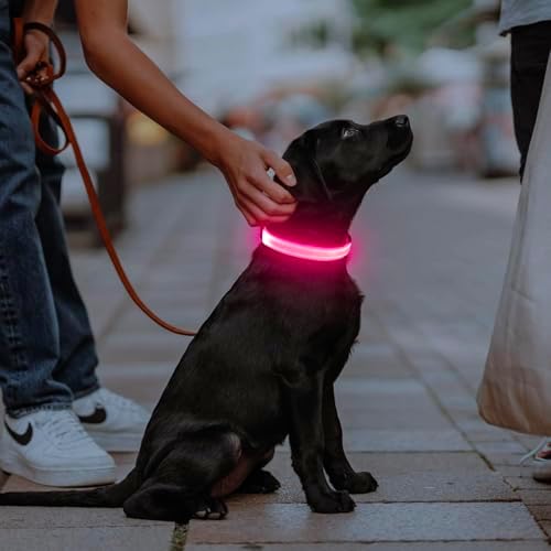 Illumifun Rechargeable LED Dog Collar, Waterproof Light Up Dog Collars Glow in the Dark, Adjustable Safety Collar Light for Dogs Walking Camping (Pink, Medium)