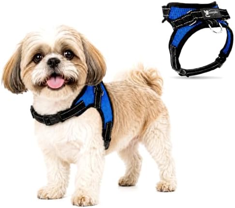 No Pull Reflective Adjustable Dog Harness With Handle- Comfortable Soft All Weather Mesh, Easy On Puppy Harness For Small Medium and Large Dogs (Blue) XX-Small