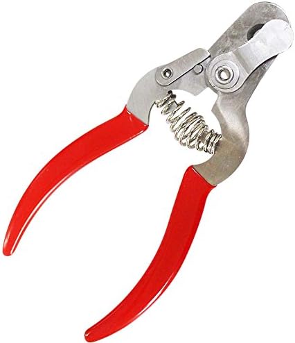 BUDDY 5" (12.7 cm) Steel Pet Nail Clipper | Safety Guard & Spring-Loaded Handles | Red PVC Comfort Grip | Ideal for Home Grooming