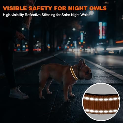 Taglory Reflective Small Dog Collar, Comfortable for Safe Night Walks, Tan
