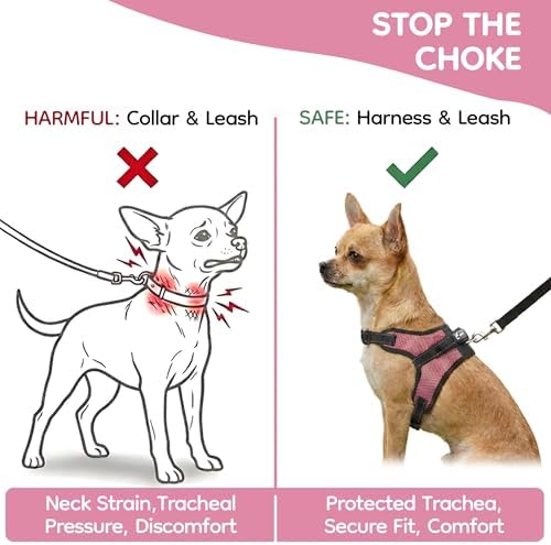 No Pull Reflective Adjustable Dog Harness With Handle- Comfortable Soft All Weather Mesh, Easy On Puppy Harness For Small Medium and Large Dogs (Pink) X-Small