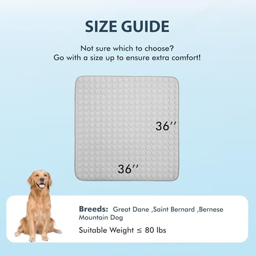 MICROCOSMOS Summer Cooling Mat & Sleeping Pad- Water Absorption Top, Materials Safe, Easy Carry, EZ Clean. Keep Cooling for Pets, Kids and Adults.(Grey, 36" x36")