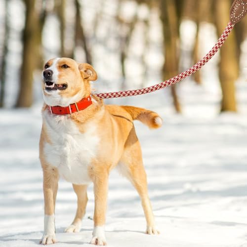 Mile High Life Dog Leash with Genuine Leather-Wrapped Ends, 4/5/6FT