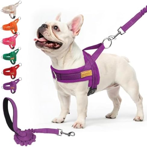 BEAUTYZOO Dog Harness Medium Sized and Leash Set, No Pull Step in Pet Vest