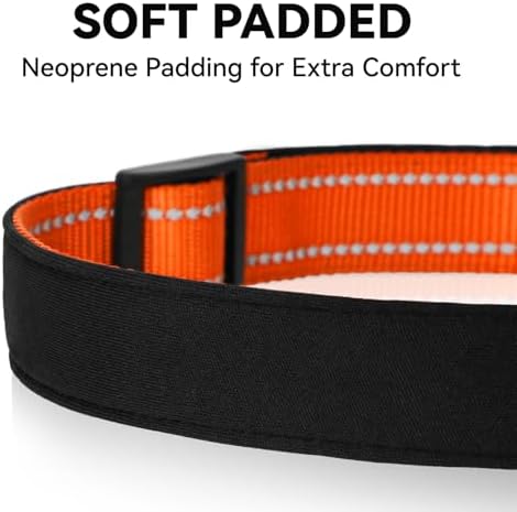 Reflective Dog Collar for Small Dogs with Quick Release Buckle