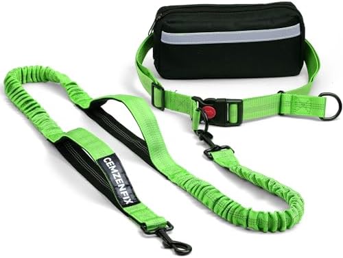 Hands Free Dog Leash with Waist Belt – No-Pull Bungee, Dual Padded Handles & Zipper Pouch for Running, Walking & Training – Adjustable Waist Leash for Large & Medium Dogs