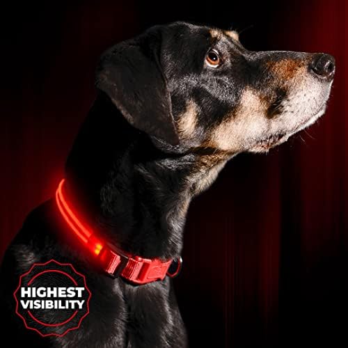 ILLUMISEEN LED Dog Collar USB Rechargeable - Bright & High Visibility Lighted Glow Collar for Pet Night Walking - Weatherproof, in 6 Colors & 6 Sizes (Red Large)