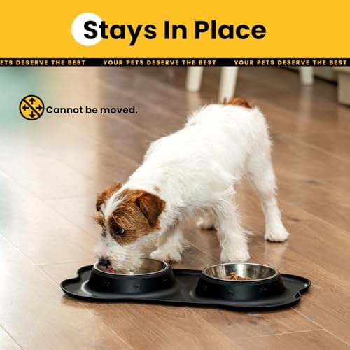 Conlun Dog Bowls with Silicone Mat, No Spill Stainless Set, S, Black