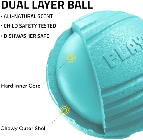 Playology Durable Large Dual Layer Dog Ball - Jumbo, Peanut Butter Scent