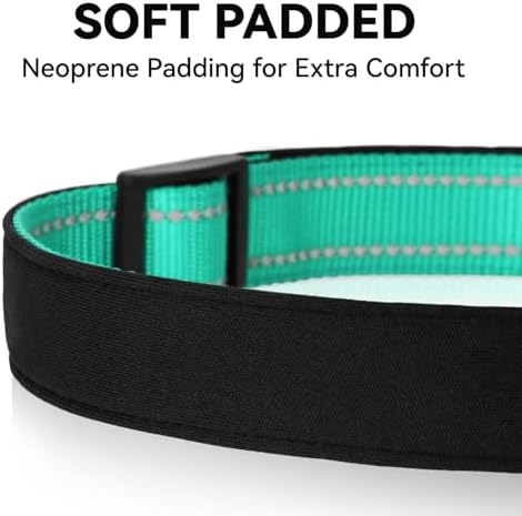 Reflective Dog Collar for Mediunm Dogs, Adjustable Collar with Soft Neoprene Padded, Durable Buckle for Daily Walking,Teal,M, 1" Width