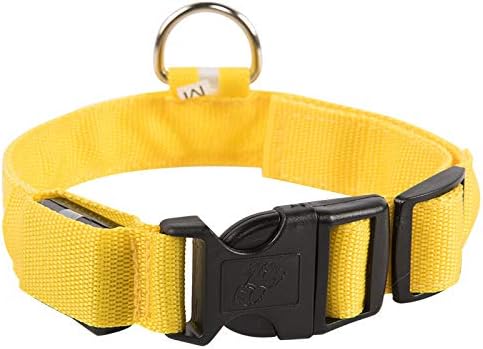 A4DOG LED Dog Collar, USB Rechargeable Light Up Collar, Night Walking Safety Lights for Small, Medium & Large Dogs