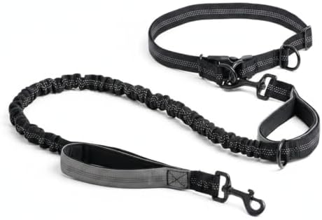 1 Pack Hands Free Dog Leash, Adjustable Nylon Waist Belt with Shock-Absorbing Bungee and Reflective Strips for Running and Hiking