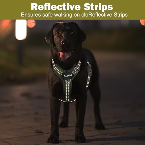 No Pull Dog Harness - Adjustable Reflective Dog Vest with Metal Snap, Soft Breathable Mesh No Choke Puppy Harness, Easy to Put on & Take Off (Green-S)