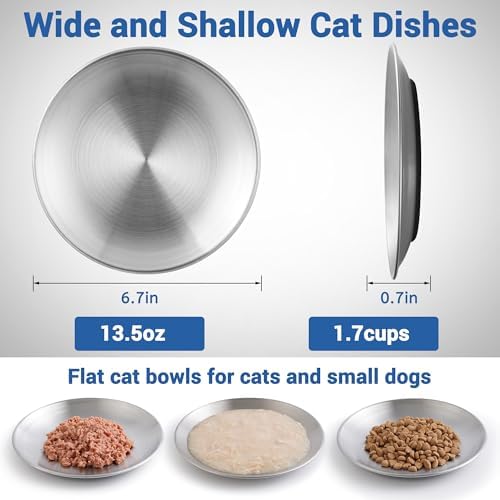 Stainless Steel Cat Bowls, Flat Cat Food Bowl Set with Silicone Ring for Non Slip, 6.7" Wide and Shallow Cats Dishes or Plates for Feeding Indoor Cats, Kitten, Small Dogs (Silver-6 Pack)