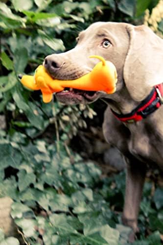 Lanco 8424678012103 Large Basset, 100% Natural Rubber