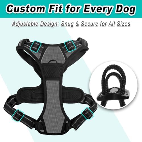BARKBAY Dog Harness for Large Dog No Pull 2 Leash Clips Dog Vest