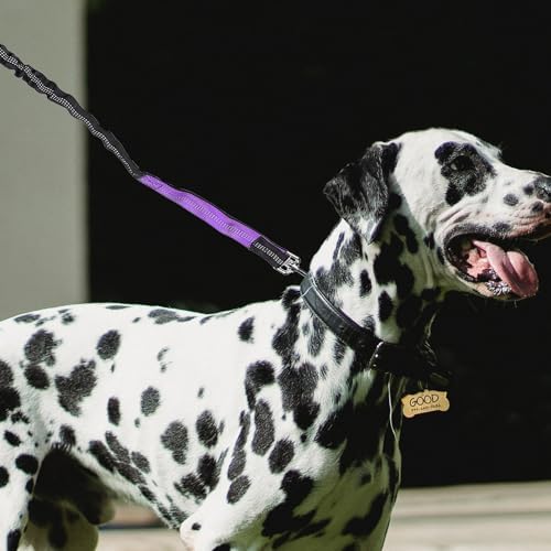 Hands-Free Waist Dog Leash for Running and Hiking with Nylon