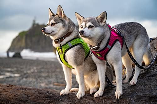 EcoBark Step in Dog Harness, Reflective Soft Padded Mesh Vest, XXS & XS