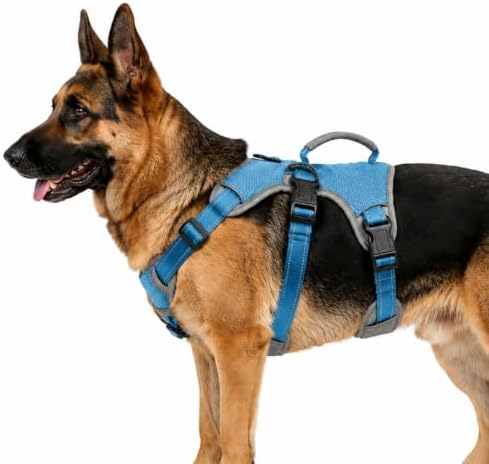 Multi-Use Support Dog Harness, Escape Proof No Pull Reflective Adjustable Vest with Durable Handle, Dog Walking Harness for Big/Active Dogs (Blue, XL)